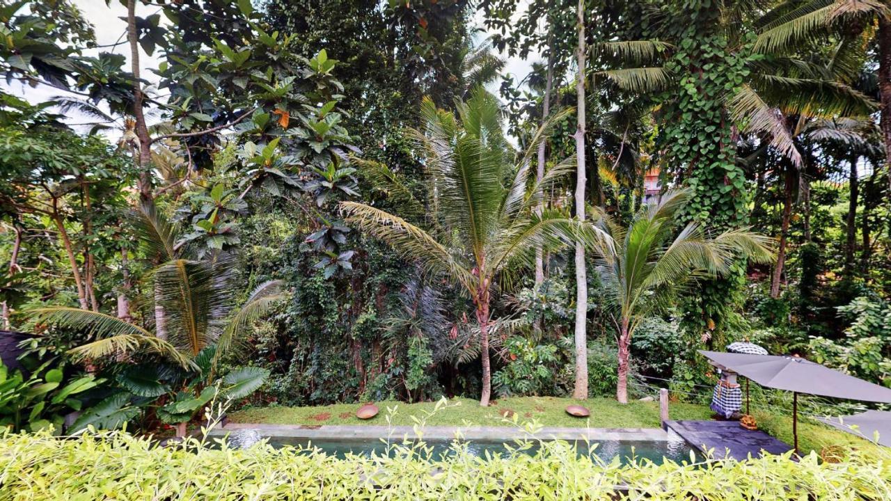 Six Cubes Ubud Hotel Exterior photo